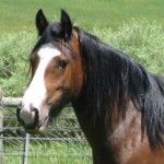 IMG_0095 6 x 4 300